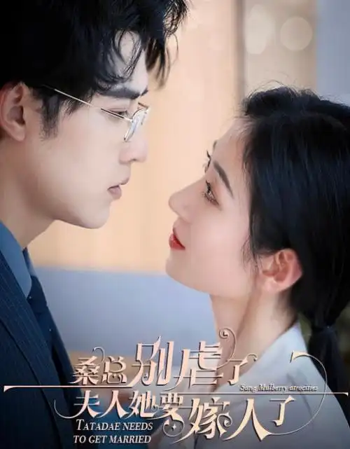 长夜将明 热播电视剧全集免费观看